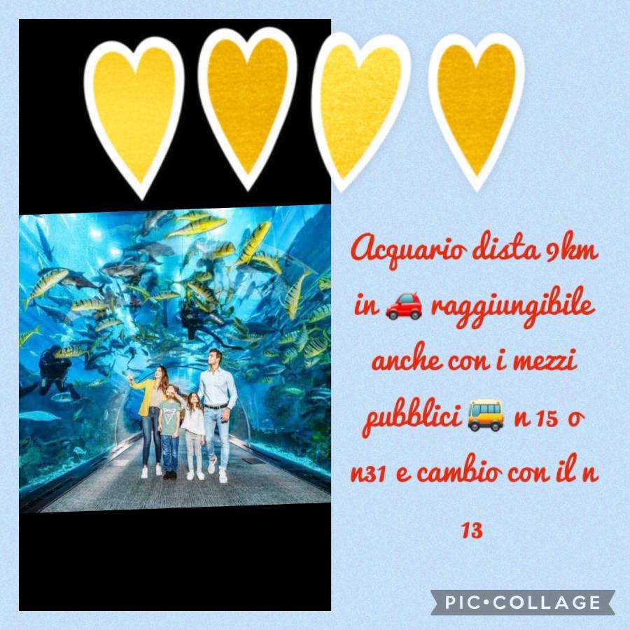 Apartment The Little House Of Gio And Gaia Gaslini And Sea Genua